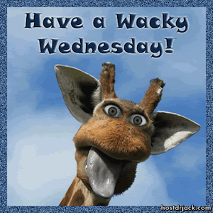 Wacky Wednesday